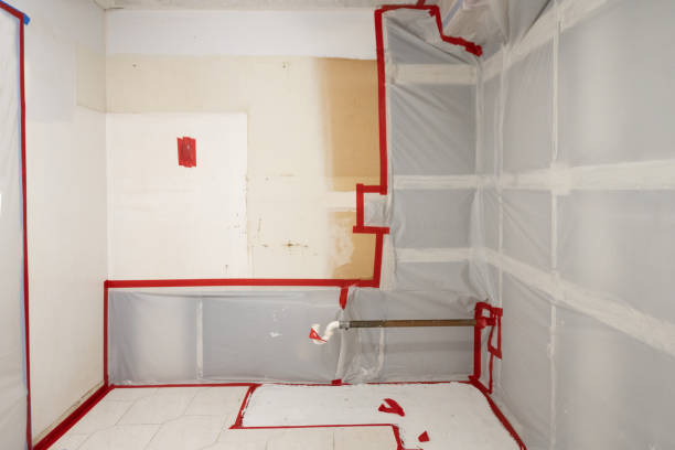 Best Biohazard Mold Removal  in Santa Teresa, NM