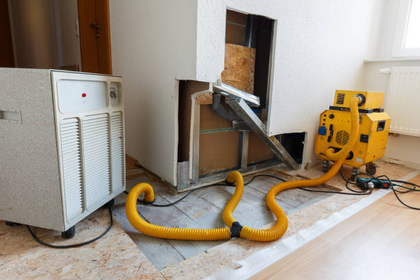 Best Air Quality Testing for Mold Spores  in Santa Teresa, NM