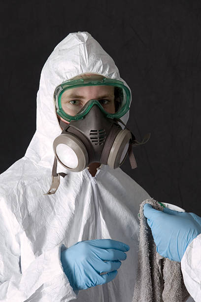 Best Residential Mold Inspection & Testing  in Santa Teresa, NM
